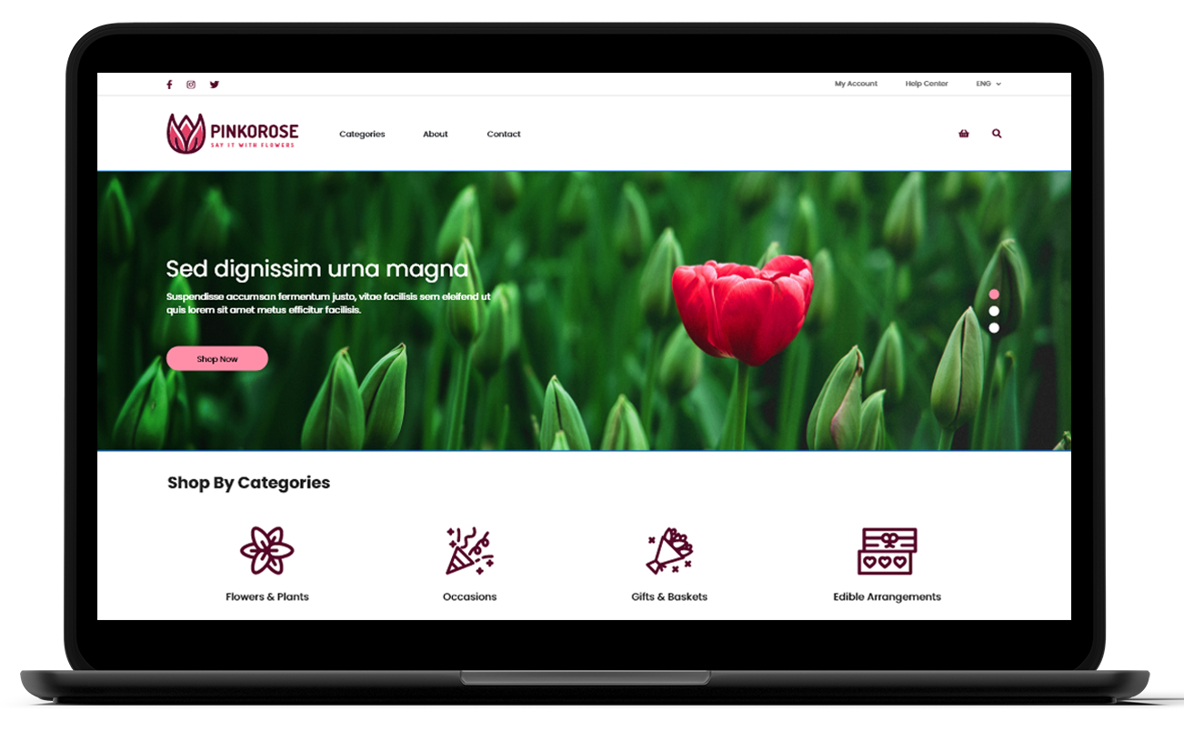 home-desktop-before-study